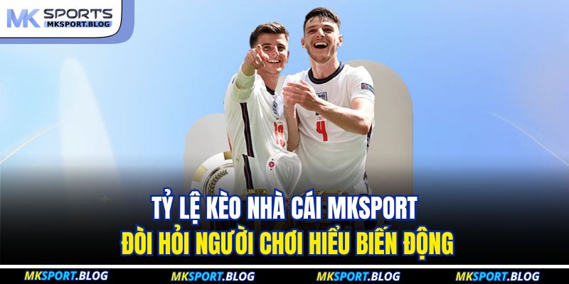Tỷ lệ kèo nhà cái MKSPORT đòi hỏi người chơi hiểu biến động